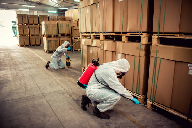 Best Best Pest Control Companies  in Norwood, PA