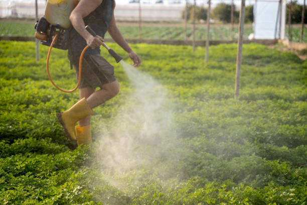 Best Pest Control Treatment  in Norwood, PA