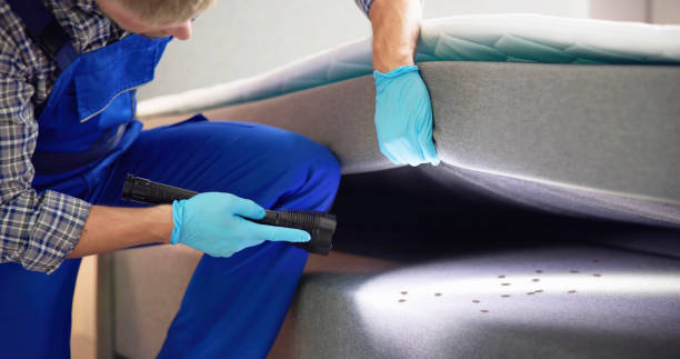 Reliable Norwood, PA Pest Control Solutions